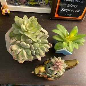 3 Piece Succulent Decorative Set